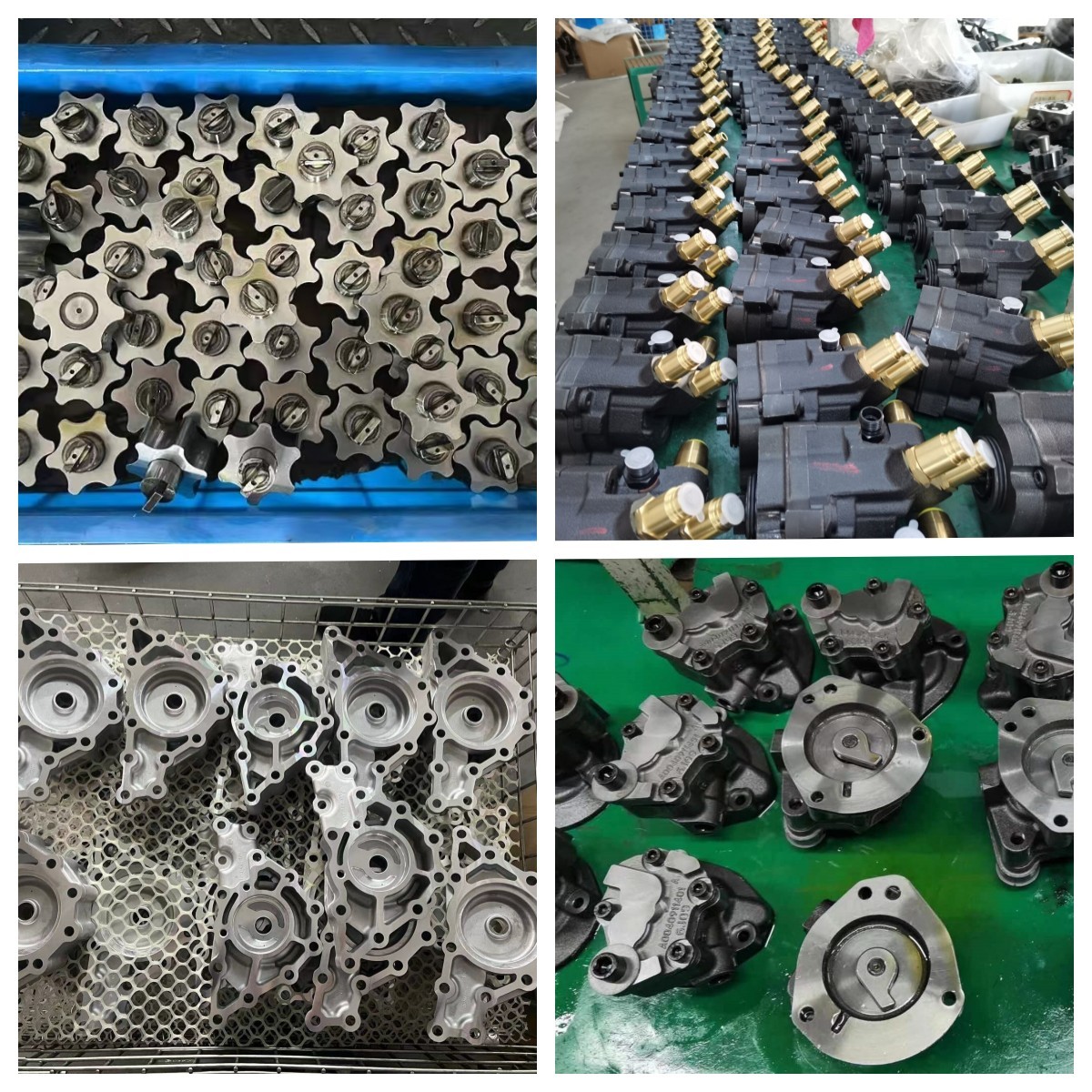 Porcellana Taizhou Lanqing Oil Pump Co.,Ltd Profilo Aziendale