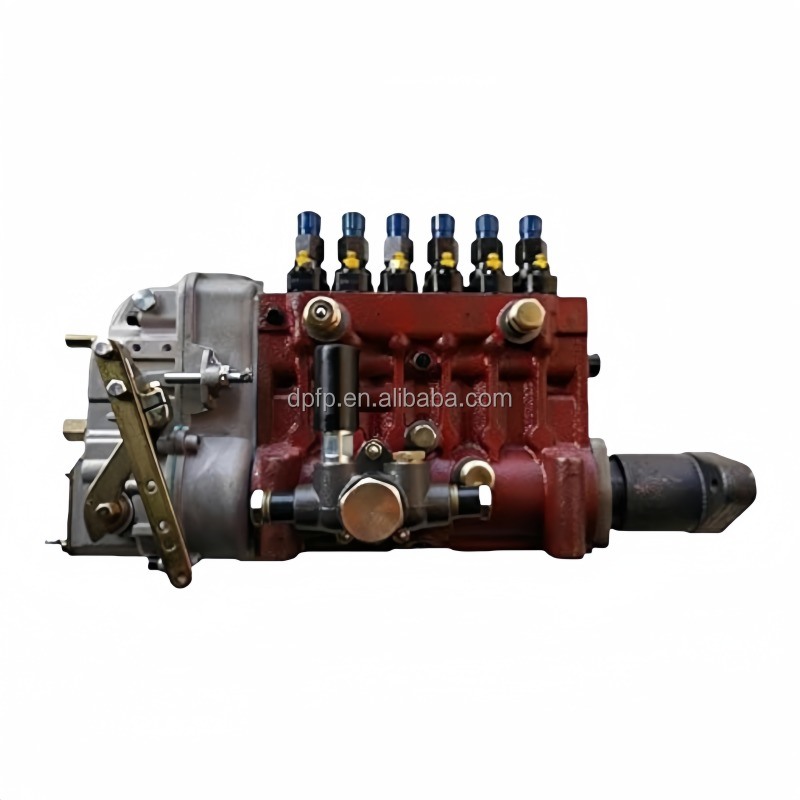 Nuova pompa di iniezione del carburante diesel OE NO. 8400360786 Compatibile con il motore ShangChai D6114 con garanzia di 6 mesi